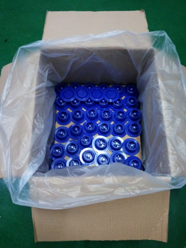 50000pcs Dunnage bag valves ready for shipment